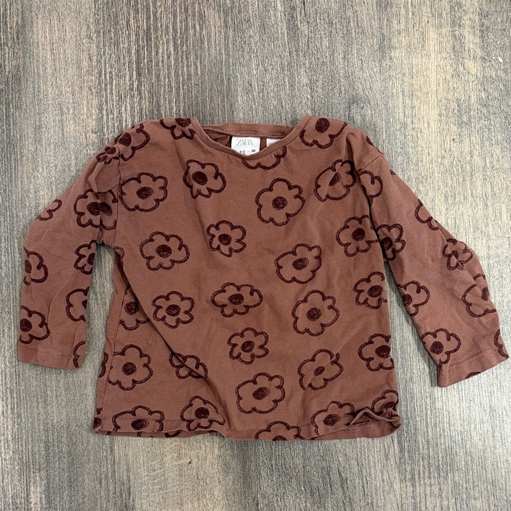 Zara Toddler Kids Brown Maroon Floral Long-Sleeve Tee, Size 2-3 yr.